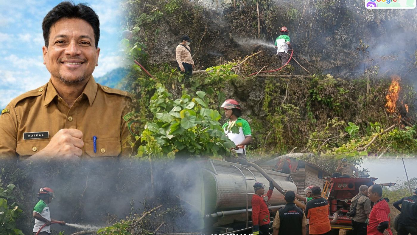 Karhutla Siwang Hanguskan 6 Hektare, Dinas Kehutanan Maluku Pantau 369 Hotspot