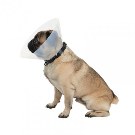 BUSTER E-Collar for Brachycephalic Dogs, S, 10/pk