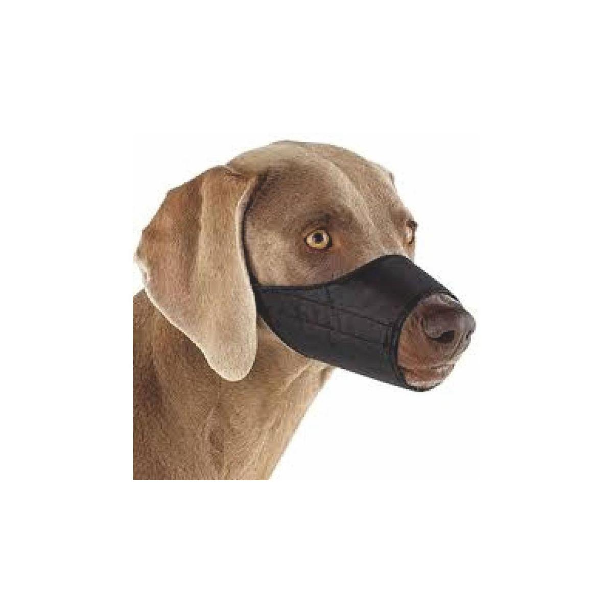 Buster muzzle cheap