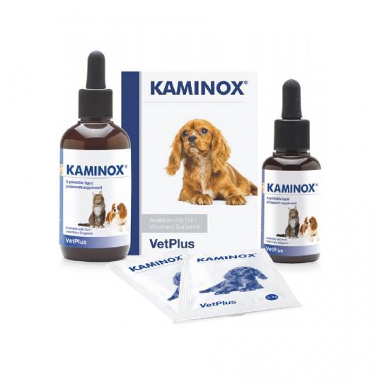 KAMINOX®