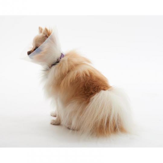 BUSTER E-Collar for Brachycephalic Dogs, XS, 10/pk