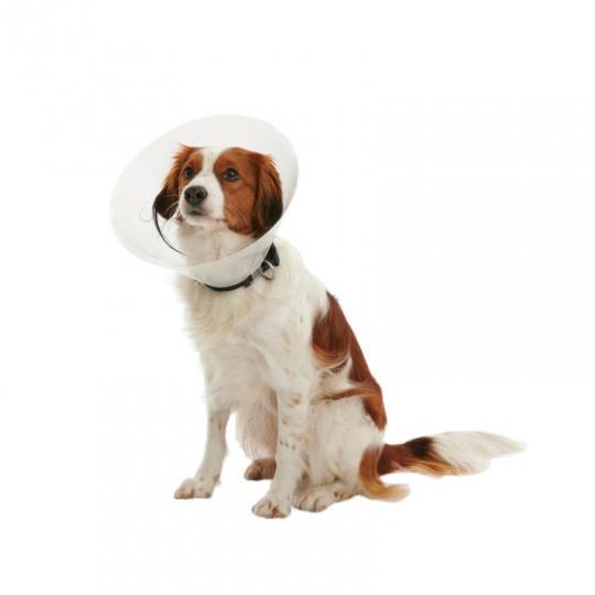 BUSTER Clic Collar, 15 cm, 10/pk