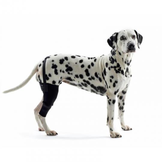 KRUUSE Rehab Knee Protector, right, M