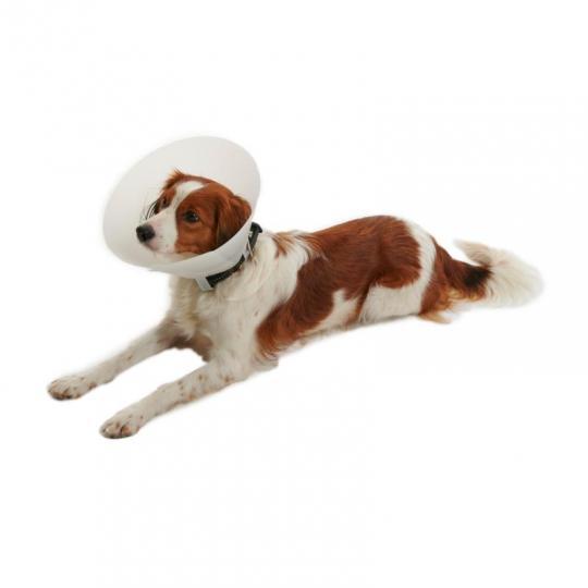 BUSTER Classic Dog Collar, 35 cm