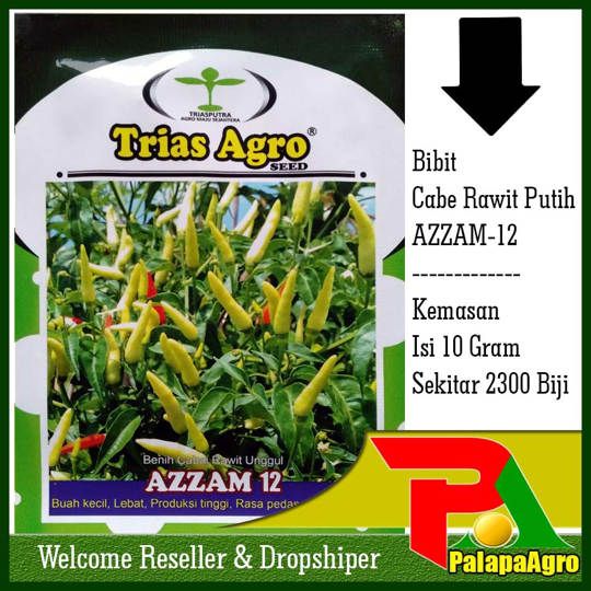 Jual Benih Bibit Unggul Cabe Rawit Putih ALFIRA 5gram