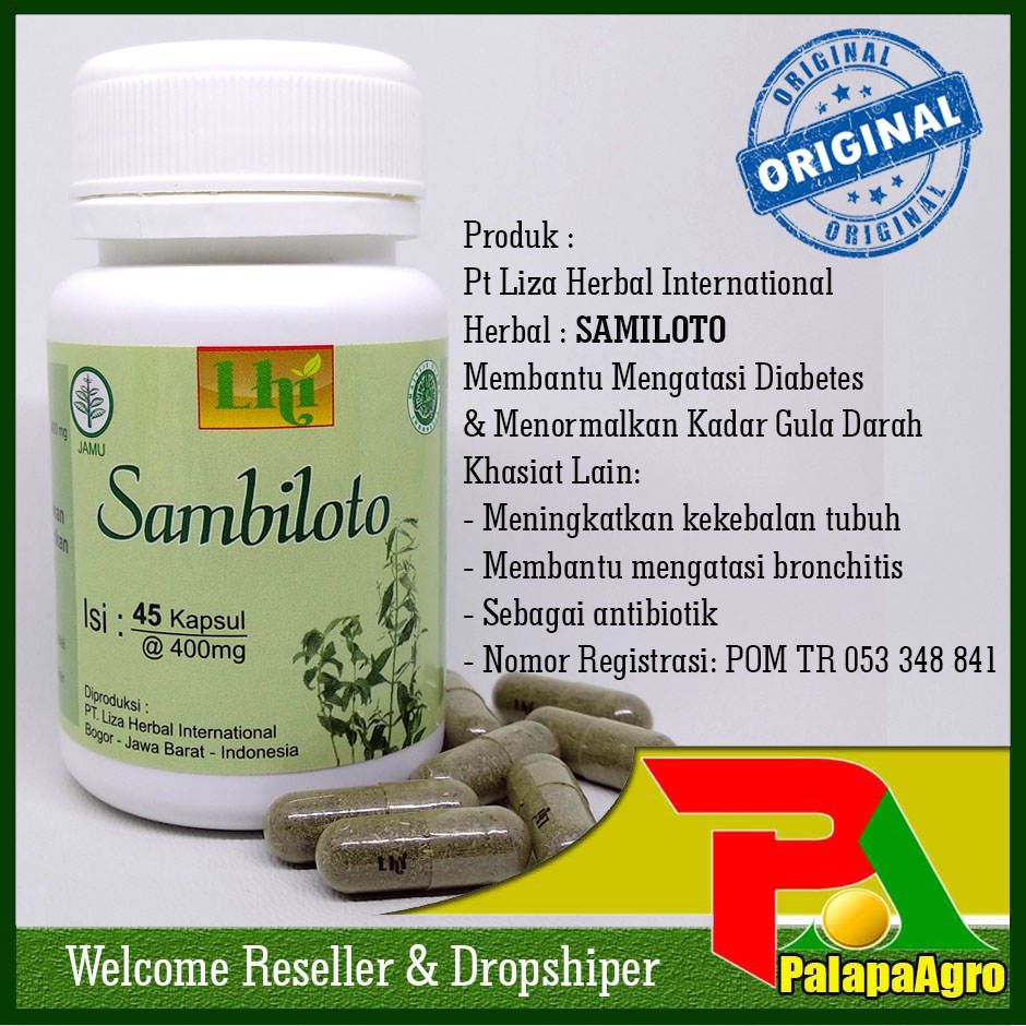  Obat  Herbal Untuk Gula  Darah 