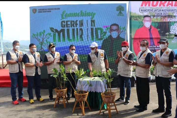 Murad Tanam 3000 Anakan Mangrove Untuk Hijaukan Pesisir