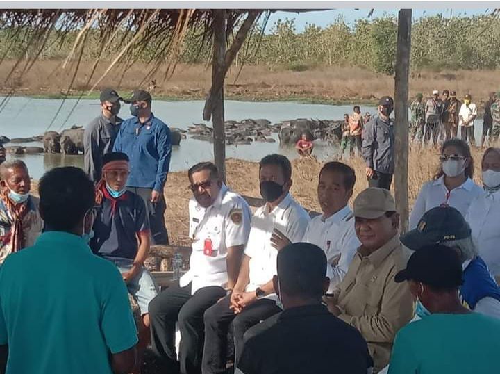 ILHAM :  : Presiden Serap Aspirasi Peternak Kerbau di Pulau Moa Tentang  Kekurangan Air 