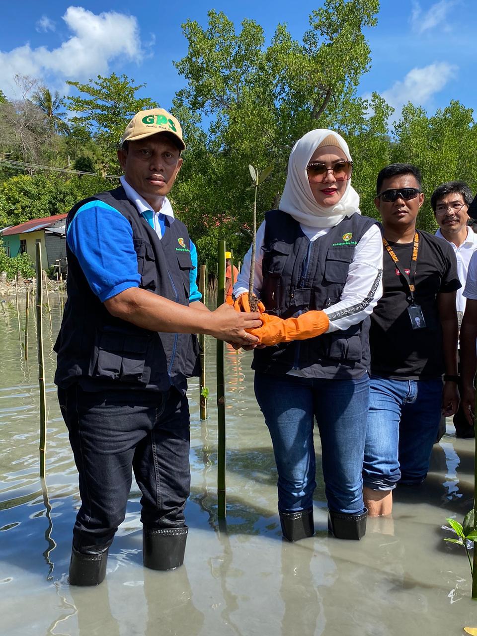 Peringati HPSN 2020, Widya Ikut Aksi Bersih Sampah dan Tanam Mangrove di Teluk Ambon