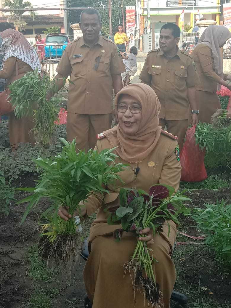 Dinas Ketahanan Pangan Provinsi Maluku Panen Sayur Sehat