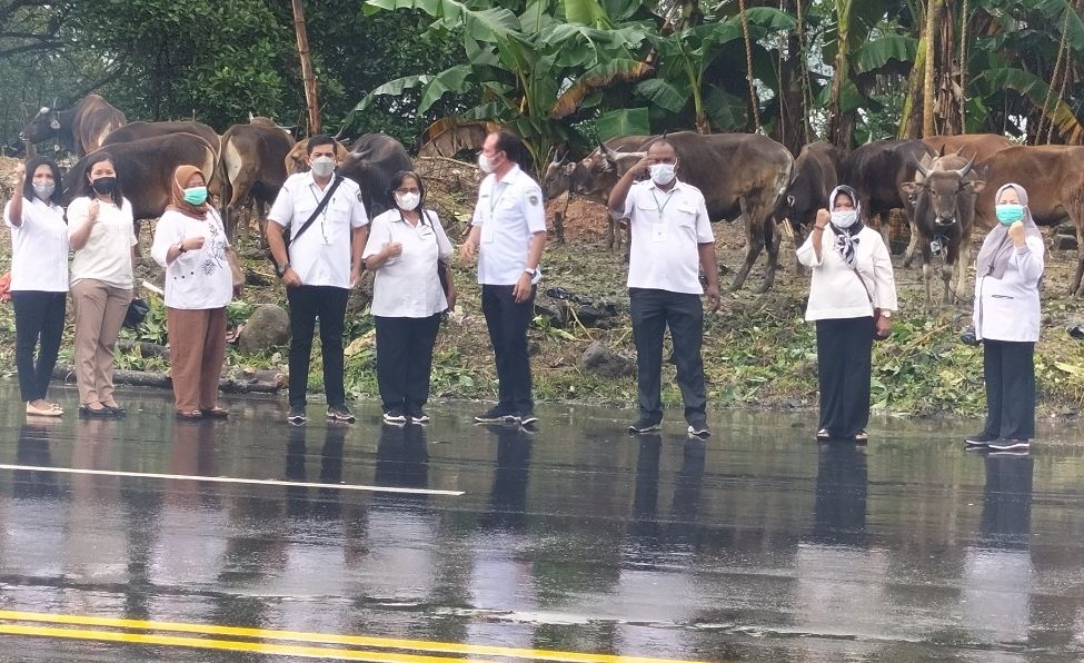 Kadistan Lakukan Pengawasan Hewan Kurban Didesa Kate-Kate Dan Poka