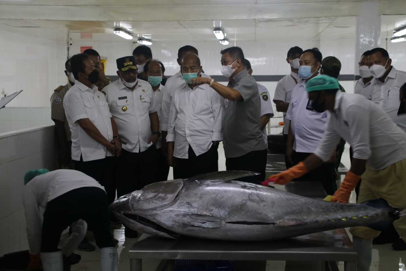 Gubernur, Menteri KKP Tinjau   Processing Tuna di Ambon