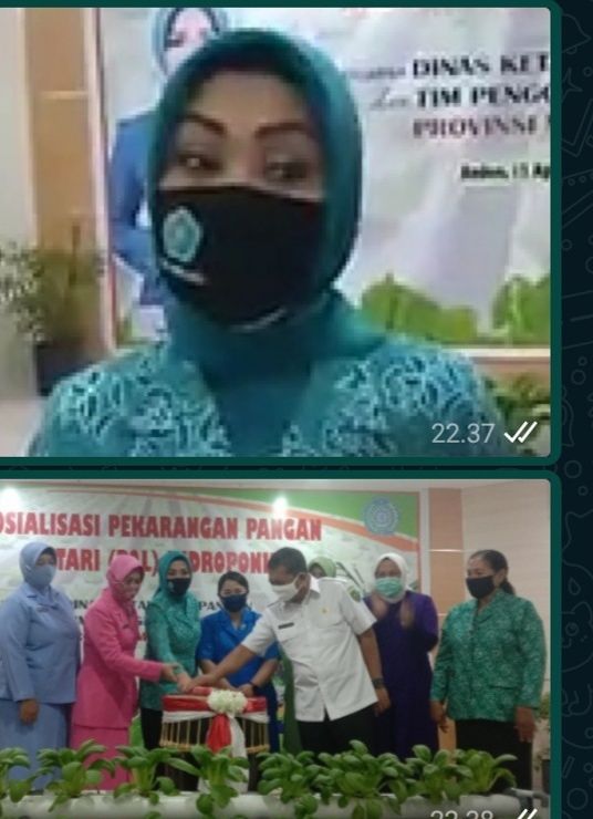 50 Kelompok Terima Bantuan Kelola Sayur Hidroponik Dari Dinas Ketahanan Pangan