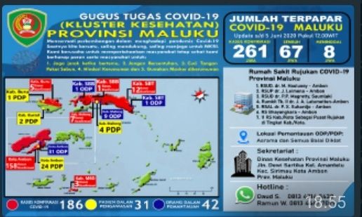 Pasien  Virus Corona Sembuh 67,  Terpapar  Bertambah 261 