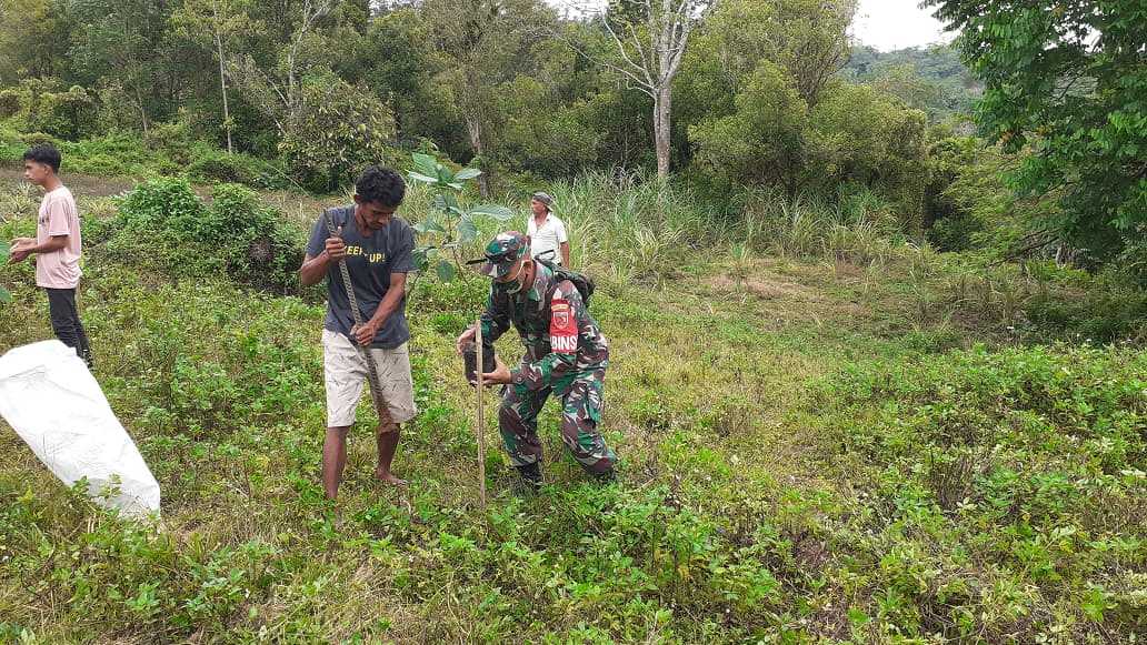 Peduli Lingkungan, Babinsa Wayame Bersama Warga Gelar Aksi Tanam Pohon