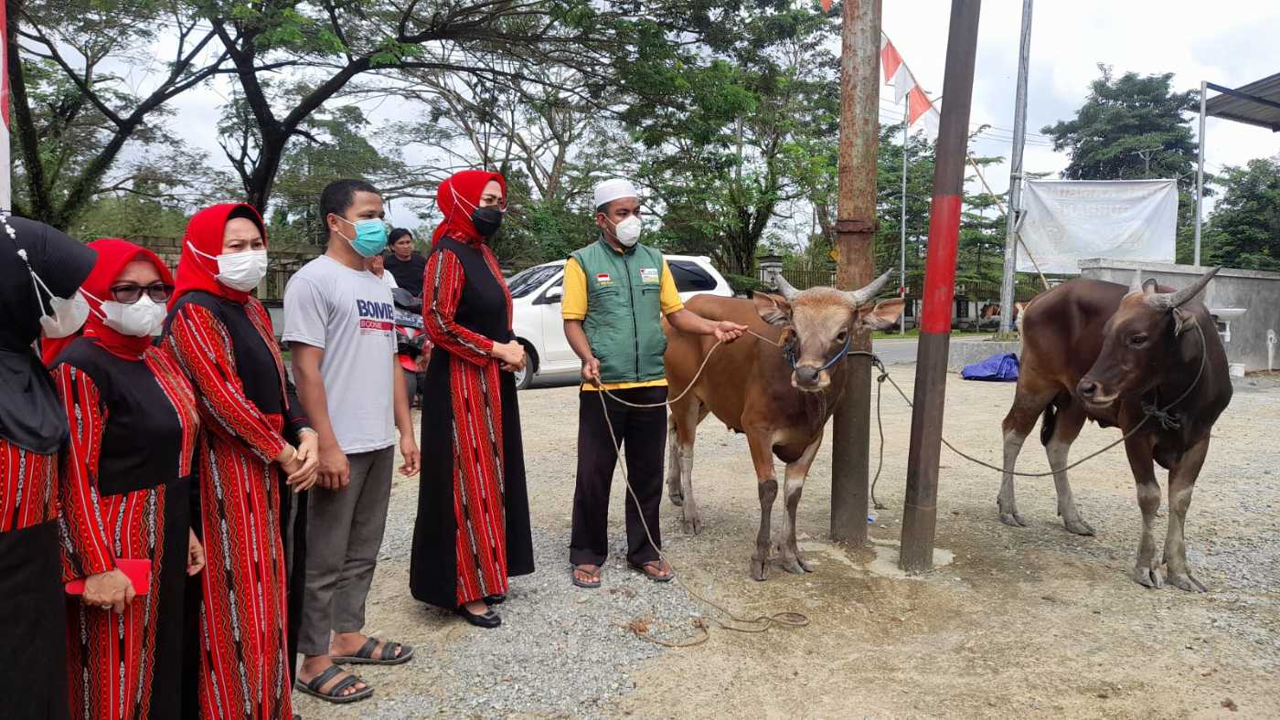 Jelang Idul Adha, MT Nur Asiah Kurban 16 Hewan