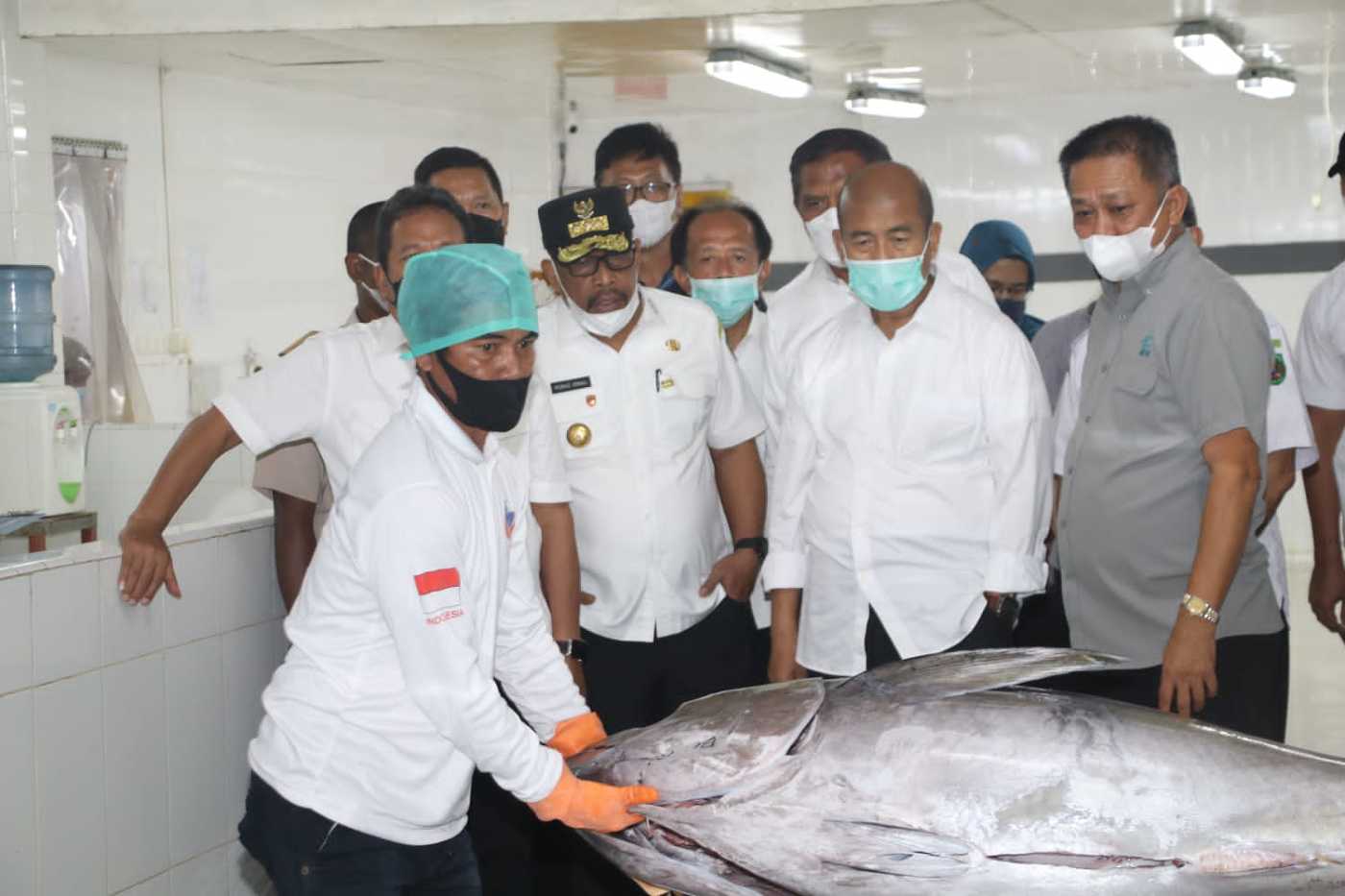 Bersama Gubernur, Menteri KKP Tinjau   Processing Tuna di Ambon