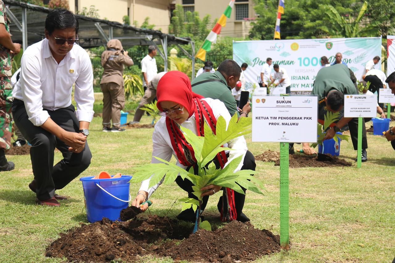 Gerakan Tanam 1000 Pohon Bersama Ibu Negara, Widya Pratiwi Tonjolkan Tanaman Khas Maluku     