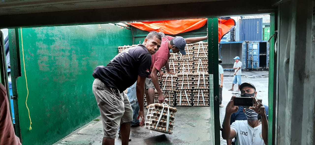 Atasi Kekosongan, 15 Kontainer Telur Sudah Didistribusi Ke Pasar