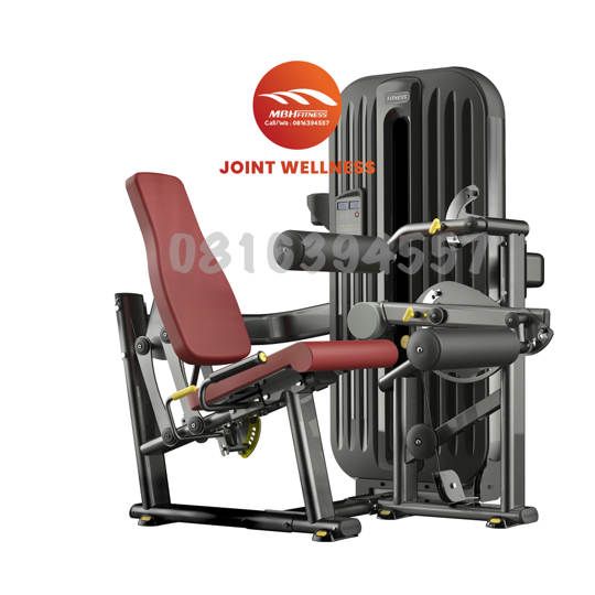 T8-013 SEATED LEG CURL
