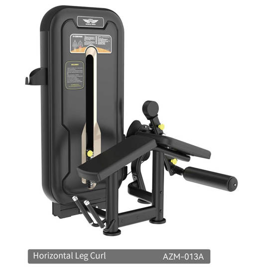 AZM013A HORIZONTAL LEG CURL