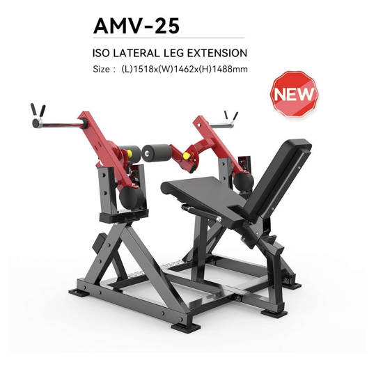 AMV25 LATERAL LEG EXTENSION 