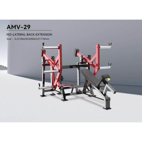 AMV29 ISO LATERAL BACK EXTENSION 