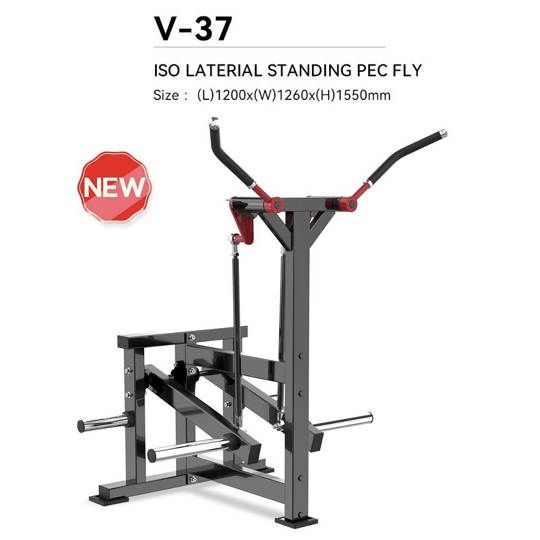 AMV37 ISO LATERAL STANDING PEC FLY