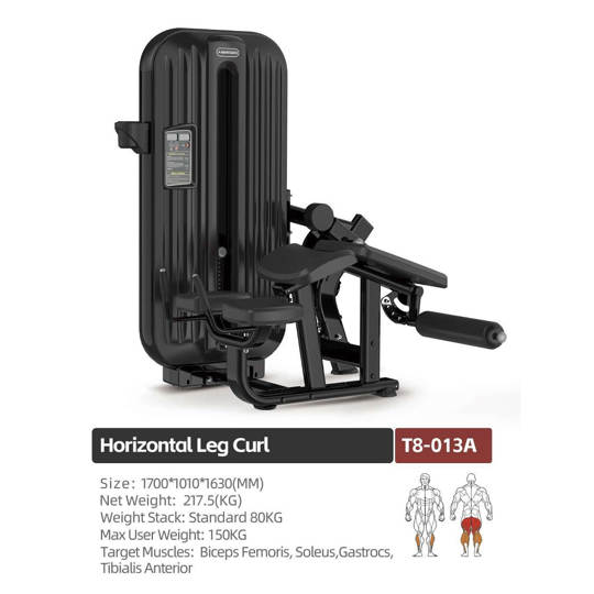 T8S-013A HORIZONTAL LEG CURL