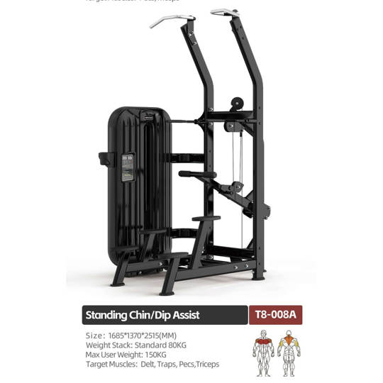 T8-008A STANDING CHIN/DIP ASSIST
