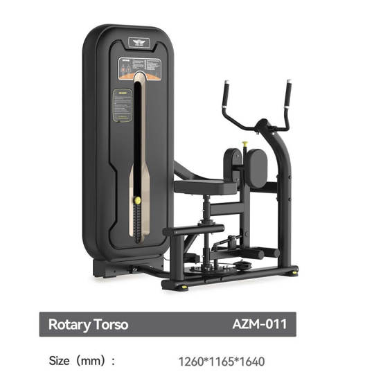 AZM011 ROTARY TORSO