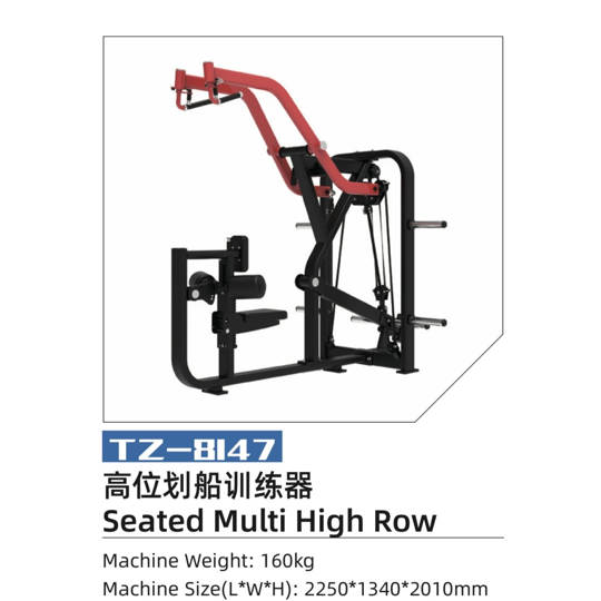 MP-8147 SEATED MULTI HIGH ROW