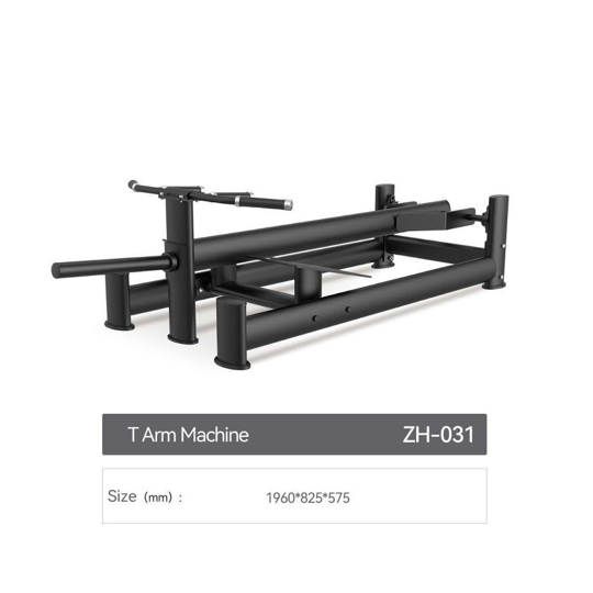 ZH31 T arm Machine