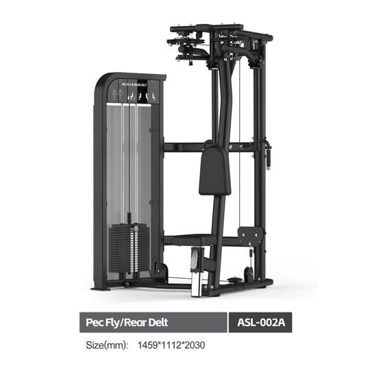 ASL002A PEC FLY & REAR DELT 