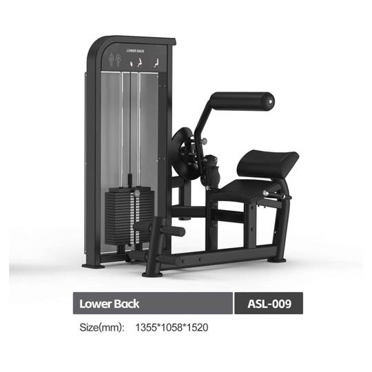 ASL009 LOWER BACK