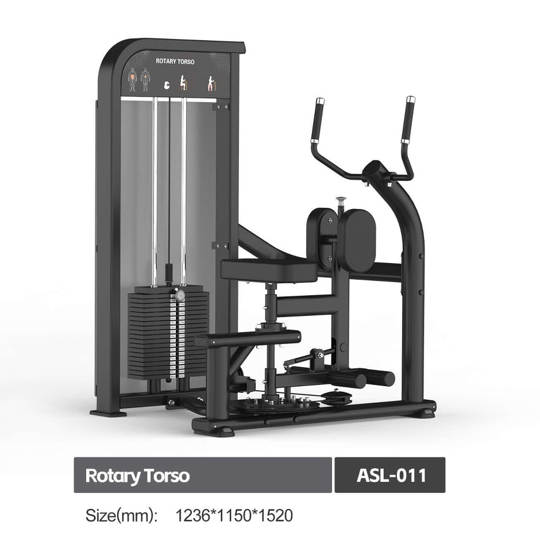 ASL011 ROTARY TORSO