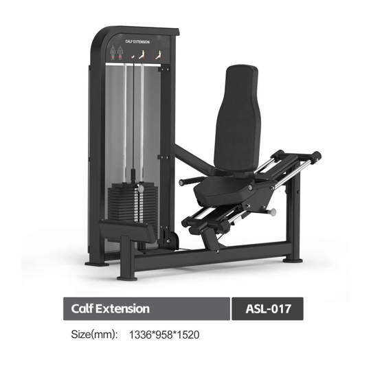 ASL017 CALF EXTENSION 