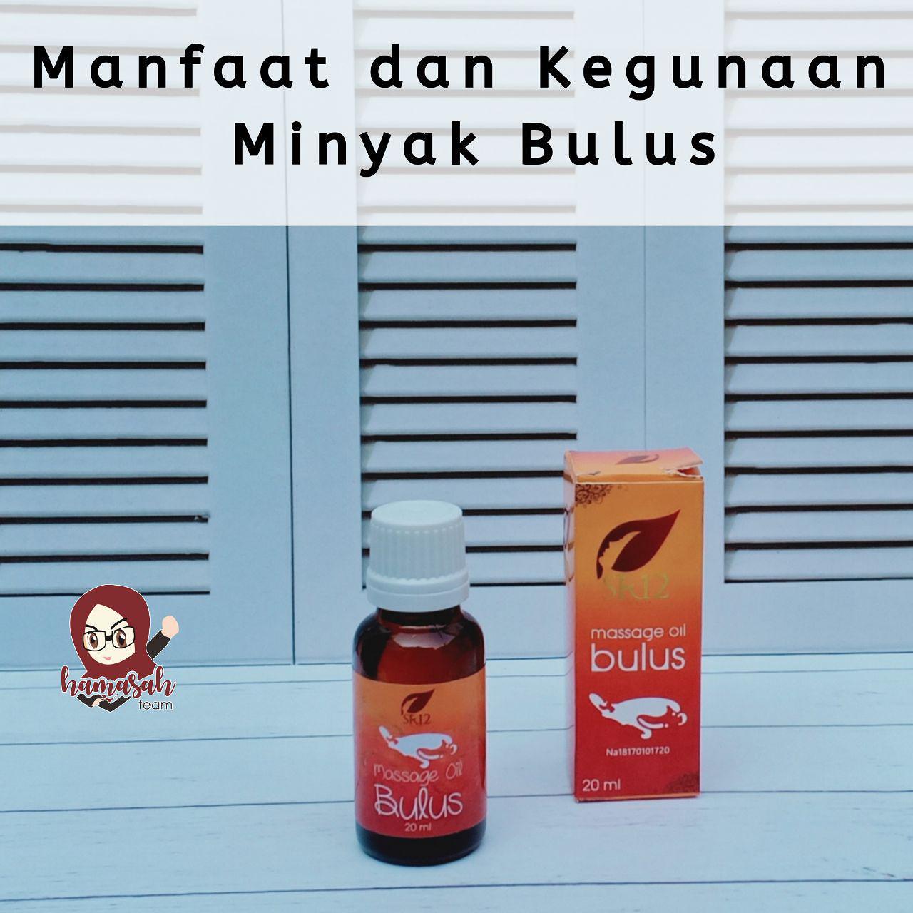 Manfaat Dan Kegunaan Minyak Bulus Manfaat Minyak Bulus Sr12