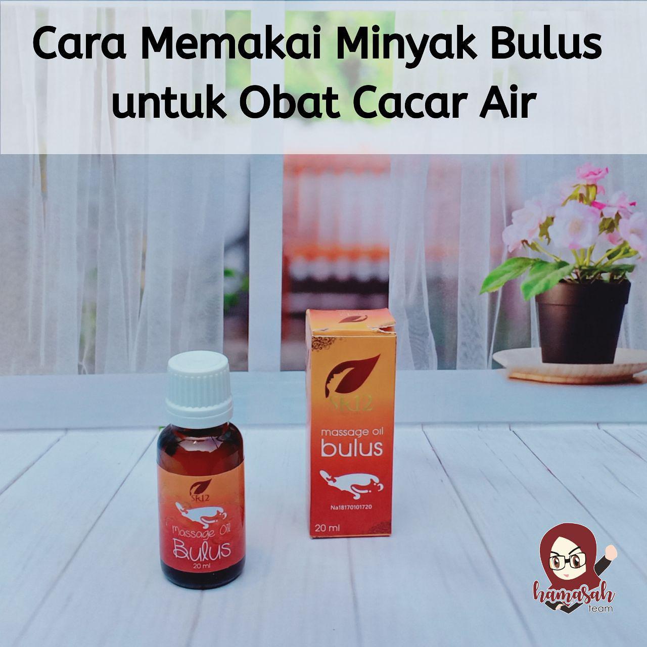 Cara Memakai Minyak Bulus Untuk Obat Cacar Air