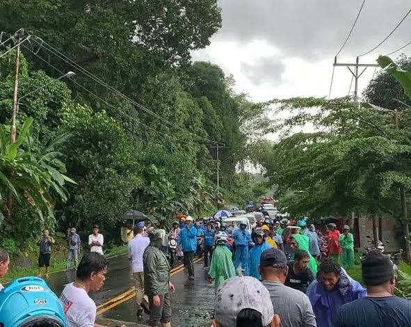 Pohon Tumbang Di Ambon, Arus Lalu Lintas Ke Bandara Pattimur Sempat Macet