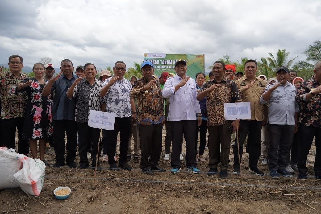 Pj Bupati Malteng, Pengembangan Tanaman Kedelei Dapat Menciptakan Lapangan Kerja