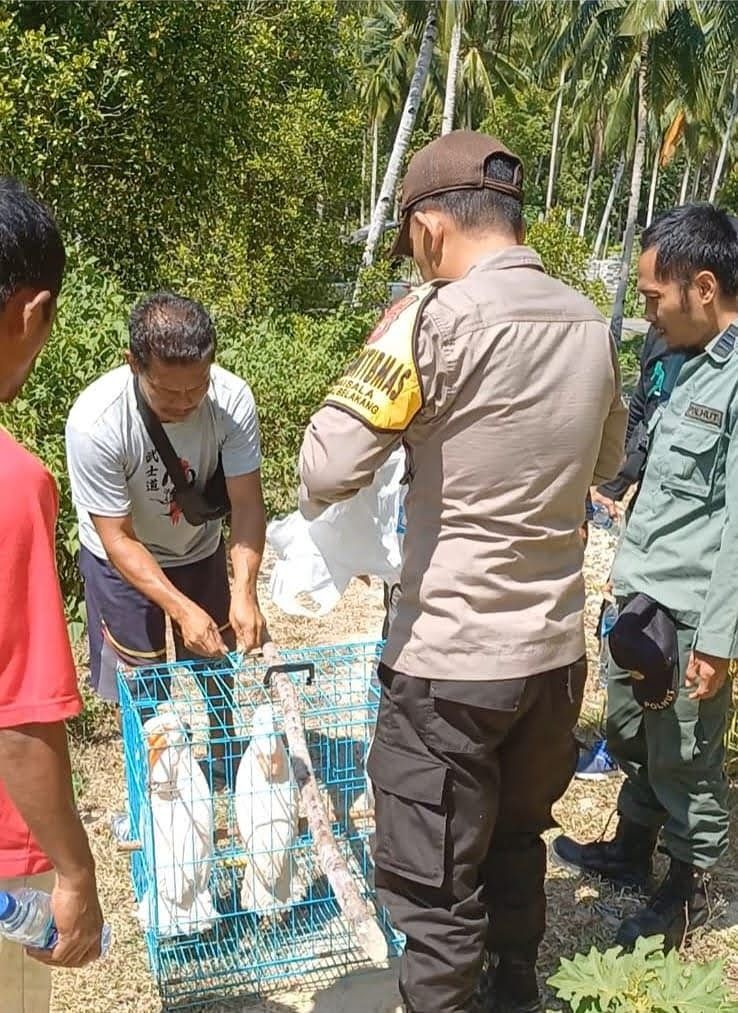 BHABINKAMTIBMAS DESA WAESALA BERSAMA BKSDA MALUKU MELAKUKAN PELEPASLIARAN SATWA DILINDUNGI