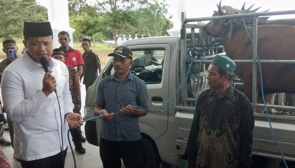 Pemkab Malra Serahkan 25 Sapi Kurban