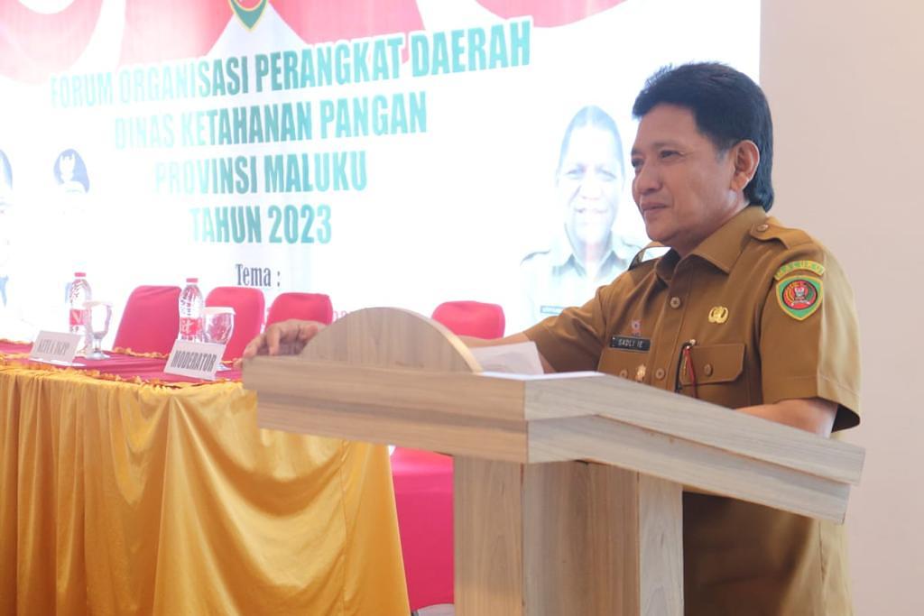 Gubernur Harap Forum OPD DKP Tingkatkan Ketahanan Pangan di Maluku