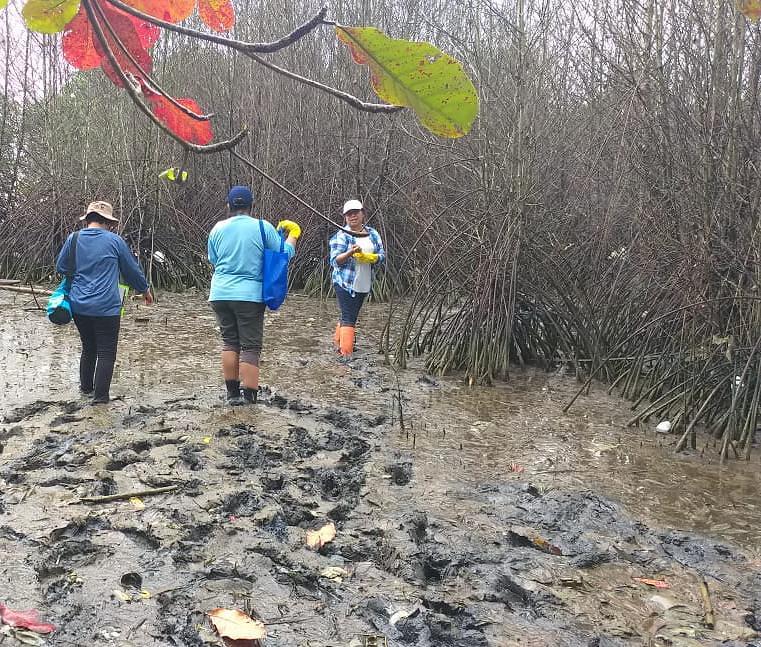 HASIL LAB BANDUNG: MANGROVE MATI KARENA LIMBAH MELEBIHI AMBANG BATAS