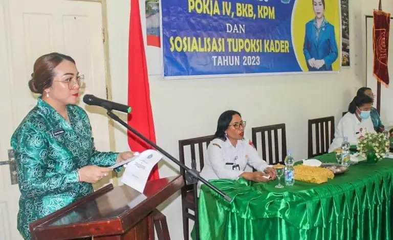 Tingkatkan Pelayanan Posyandu, TP – PKK Kota Ambon Gelar Peningkatan Kapasitas Kader