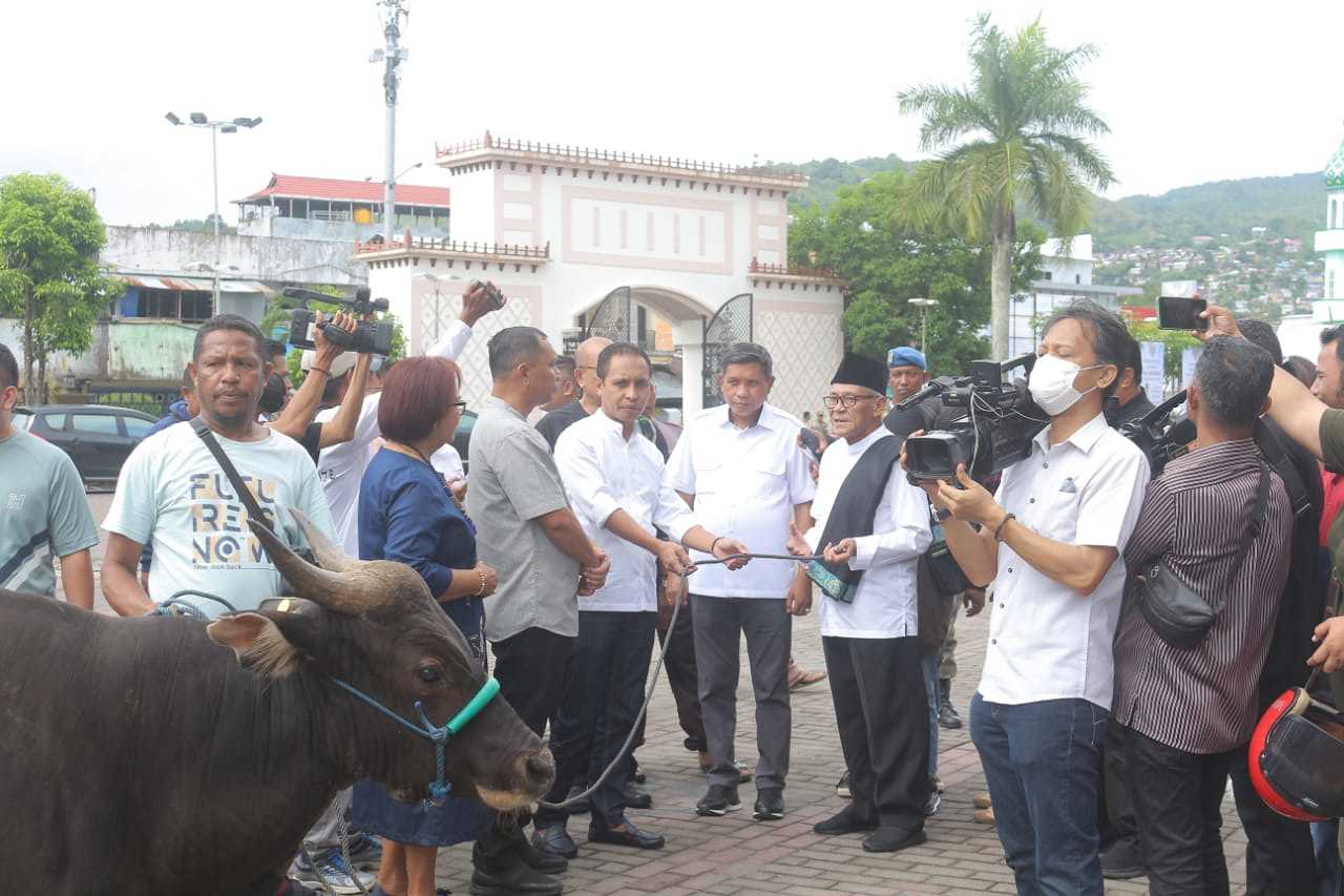 Menyongsong Idul Adha DPRD Provinsi Maluku Memberikan Sumbangan Hewan Qurban Diterima Imam Mesjid Alfatah 