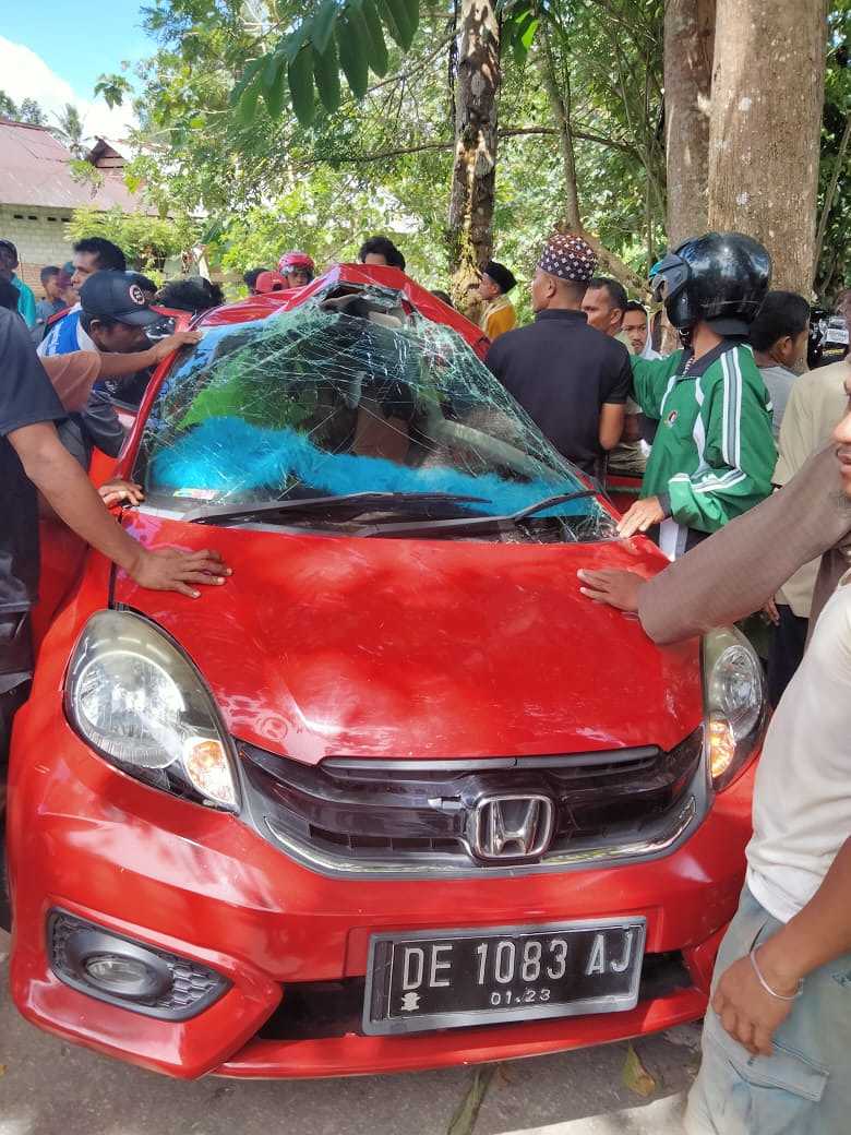 Honda Brio Merah Tabrak Pohon di Tulehu, 1 Orang Tewas