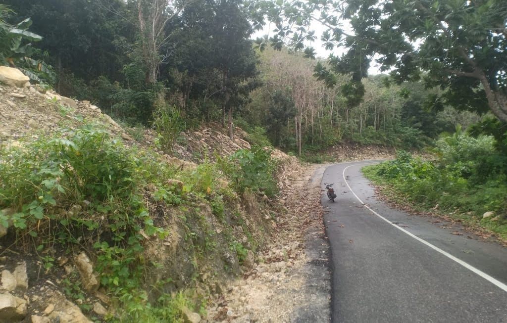 WARGA OHOI NGEFUIT, DESAK PEMDA MALRA SEGERA BAYAR GANTI RUGI TANAMAN.