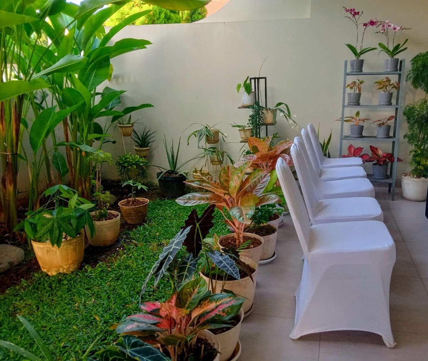 Sewa Kursi Kembangan Jakarta Barat Phone 081298259626-081283969978